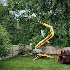 Best Aeration Services  in Sheldon, IL